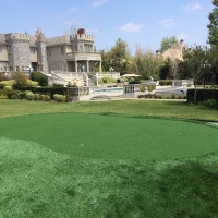 Turf Grass Gateway, Florida Indoor Putting Greens, Front Yard Landscape Ideas