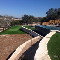 Turf Grass Lake Lucerne, Florida Landscape Ideas, Backyard Pool