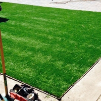 Turf Grass Westchester, Florida Lawns