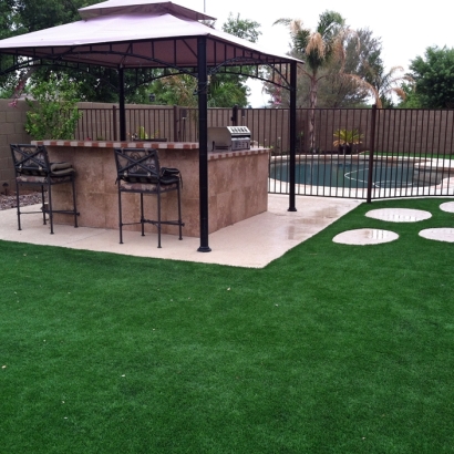 Artificial Grass Auburndale, Florida City Landscape, Backyard Landscaping