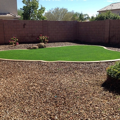 Artificial Grass Carpet Fairview Shores, Florida Landscape Photos, Small Backyard Ideas