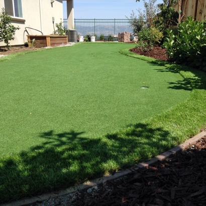 Artificial Grass Carpet Indiantown, Florida Landscaping, Small Backyard Ideas