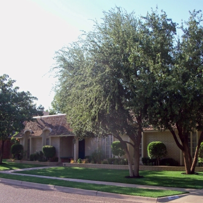 Artificial Grass Carpet Palm Springs, Florida Lawns, Front Yard