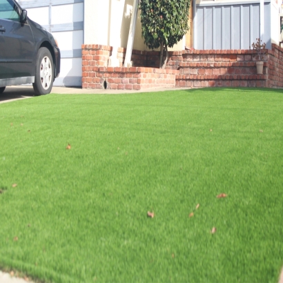 Artificial Grass Conway, Florida Lawn And Garden, Front Yard Landscaping Ideas