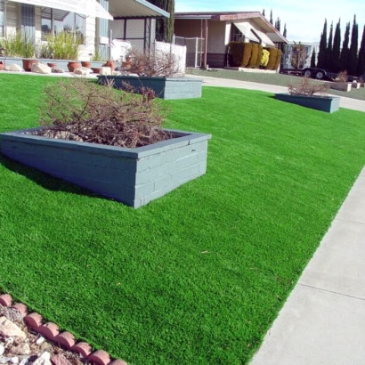 Artificial Grass Golden Lakes, Florida Landscaping, Small Front Yard Landscaping