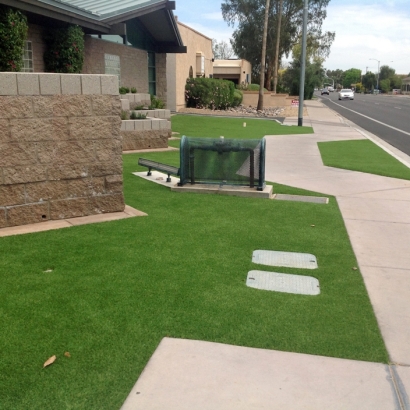 Artificial Grass Installation East Pensacola Heights, Florida Backyard Deck Ideas, Front Yard Ideas