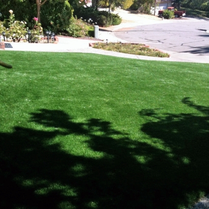 Artificial Grass Installation Lehigh Acres, Florida Lawn And Garden, Front Yard Ideas