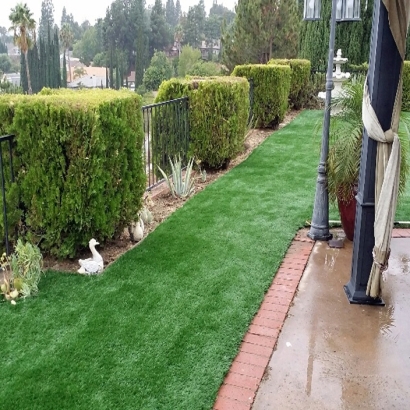 Artificial Grass Lakes by the Bay, Florida Lawn And Garden, Backyards