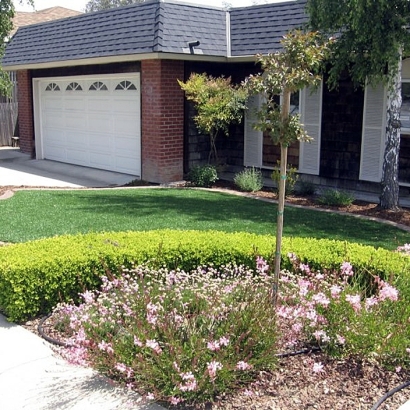 Artificial Grass North Palm Beach, Florida Design Ideas, Front Yard Design