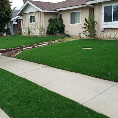 Artificial Turf Cost Key Biscayne, Florida Lawn And Landscape, Front Yard Landscape Ideas