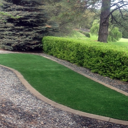 Artificial Turf Cost Okeechobee, Florida Roof Top