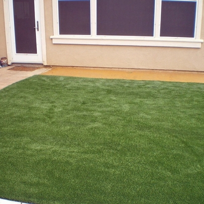 Artificial Turf Fort Pierce South, Florida Design Ideas, Backyard Makeover