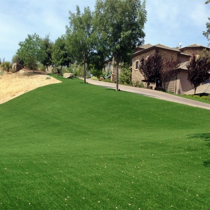 Artificial Turf Port Saint Lucie, Florida Backyard Deck Ideas, Front Yard Landscape Ideas