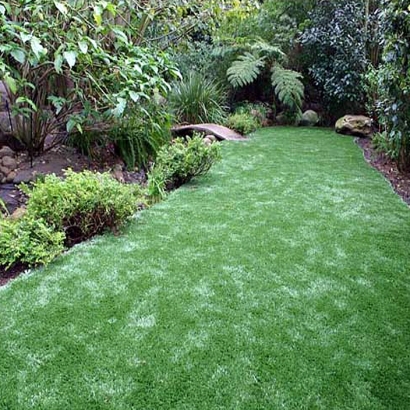 Artificial Turf Richmond Heights, Florida Landscape Photos, Backyard