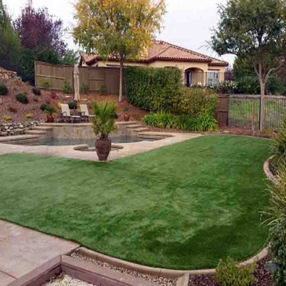 Best Artificial Grass Cocoa West, Florida Design Ideas, Backyard Designs