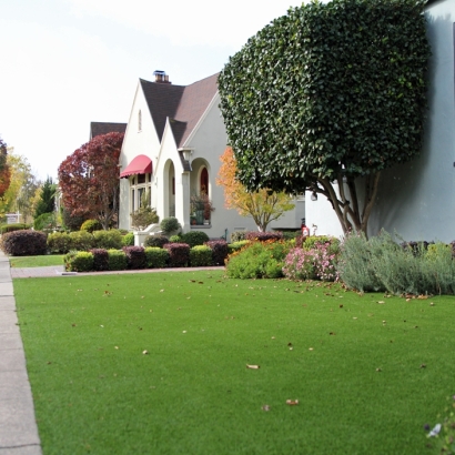 Best Artificial Grass Orlovista, Florida Backyard Deck Ideas, Front Yard Landscaping Ideas