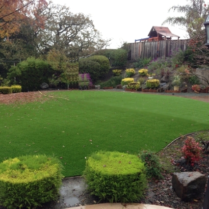 Best Artificial Grass South Bradenton, Florida Backyard Playground, Backyard Landscaping Ideas