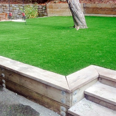 Best Artificial Grass South Miami, Florida Garden Ideas, Backyard Design