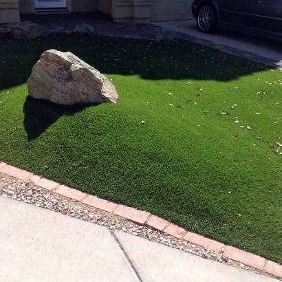 Fake Grass Carpet Myrtle Grove, Florida Landscape Ideas