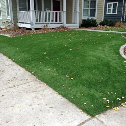 Fake Grass Carpet North Sarasota, Florida Landscape Rock, Small Front Yard Landscaping