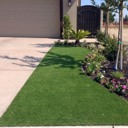 Fake Lawn Deerfield Beach, Florida Gardeners, Front Yard Design