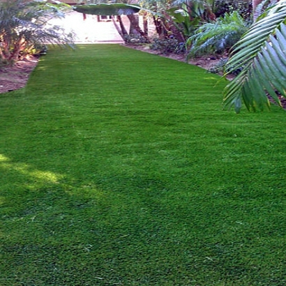 Fake Lawn West Melbourne, Florida Rooftop, Small Backyard Ideas