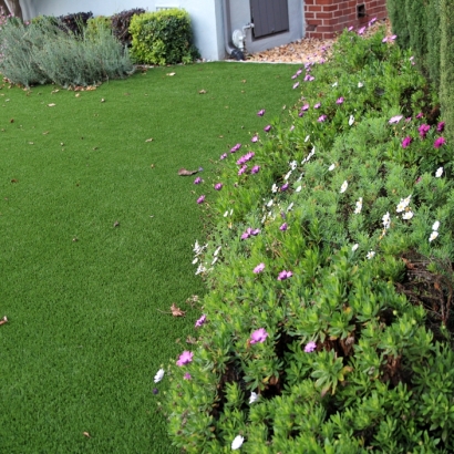 Fake Turf Palm City, Florida Design Ideas, Front Yard Landscaping