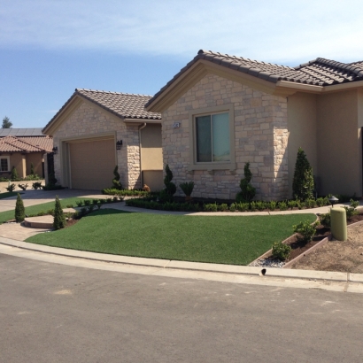 Faux Grass Ferry Pass, Florida Home And Garden, Front Yard Landscape Ideas