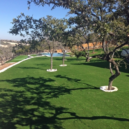 Grass Carpet Country Club, Florida How To Build A Putting Green, Kids Swimming Pools