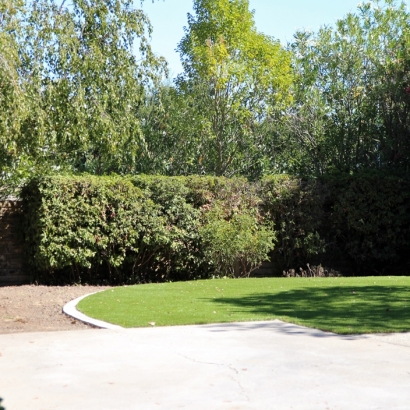 Grass Carpet Green Cove Springs, Florida Design Ideas, Backyard Makeover