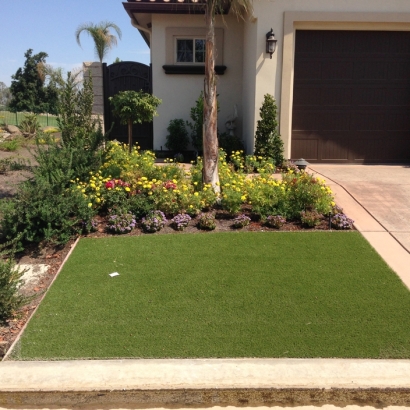 Grass Carpet Plantation, Florida Landscape Design, Front Yard Landscaping