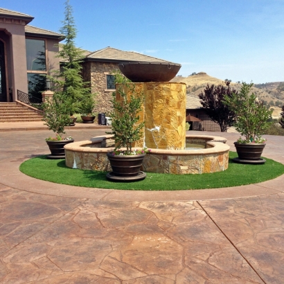 Grass Installation Brent, Florida Rooftop, Small Front Yard Landscaping