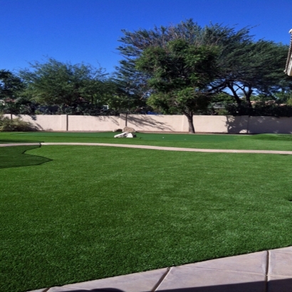 Grass Turf Belle Glade, Florida Backyard Deck Ideas, Front Yard Landscaping