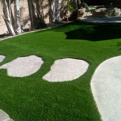 Grass Turf Clermont, Florida Design Ideas, Backyard Landscaping Ideas