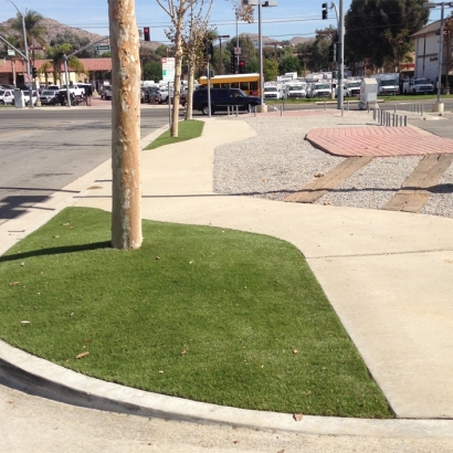 Grass Turf Ruskin, Florida Landscaping Business, Commercial Landscape