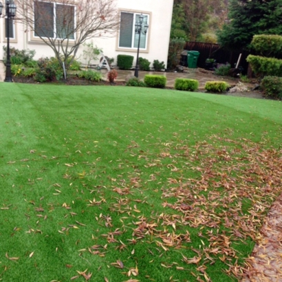 Grass Turf Saint Pete Beach, Florida Lawn And Landscape, Small Backyard Ideas