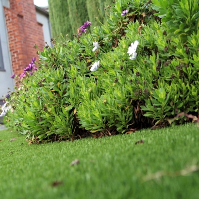 How To Install Artificial Grass West Vero Corridor, Florida Gardeners, Front Yard Landscaping