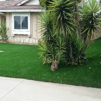 Installing Artificial Grass Key Largo, Florida Home And Garden, Front Yard