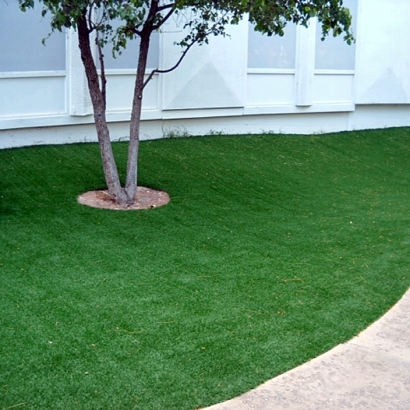 Lawn Services Boyette, Florida City Landscape, Commercial Landscape