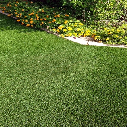 Lawn Services Valrico, Florida Landscaping, Small Front Yard Landscaping