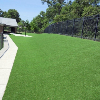 Outdoor Carpet Minneola, Florida Lawn And Garden, Commercial Landscape