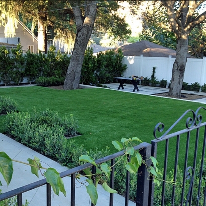 Outdoor Carpet Sebastian, Florida Garden Ideas, Front Yard Landscaping