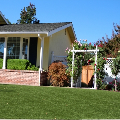 Plastic Grass Florida City, Florida Landscaping, Front Yard Ideas