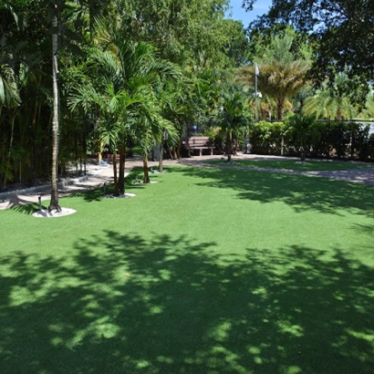 Plastic Grass Tarpon Springs, Florida Landscape Design, Commercial Landscape