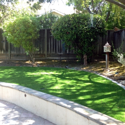 Plastic Grass Wimauma, Florida Landscape Ideas, Commercial Landscape