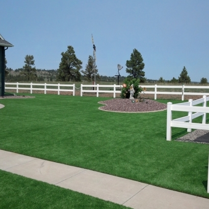 Synthetic Grass Cost Broadview Park, Florida Backyard Deck Ideas, Front Yard Ideas