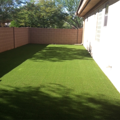 Synthetic Grass Cost Fort Myers Shores, Florida Lawns, Backyard Makeover