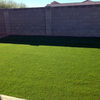 Synthetic Grass Cost Melbourne, Florida Lawns, Backyard Designs