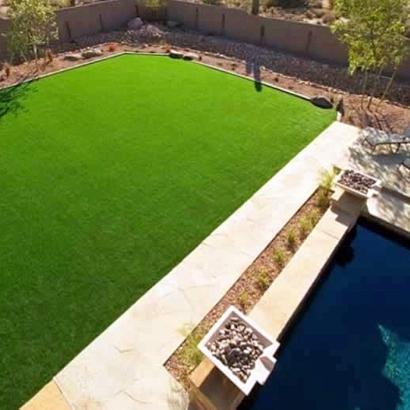 Synthetic Grass Cost Thonotosassa, Florida Landscape Ideas, Backyard Design