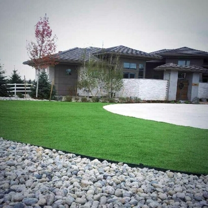 Synthetic Grass Fern Park, Florida Roof Top, Front Yard Landscape Ideas